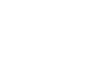 AI InTheRock