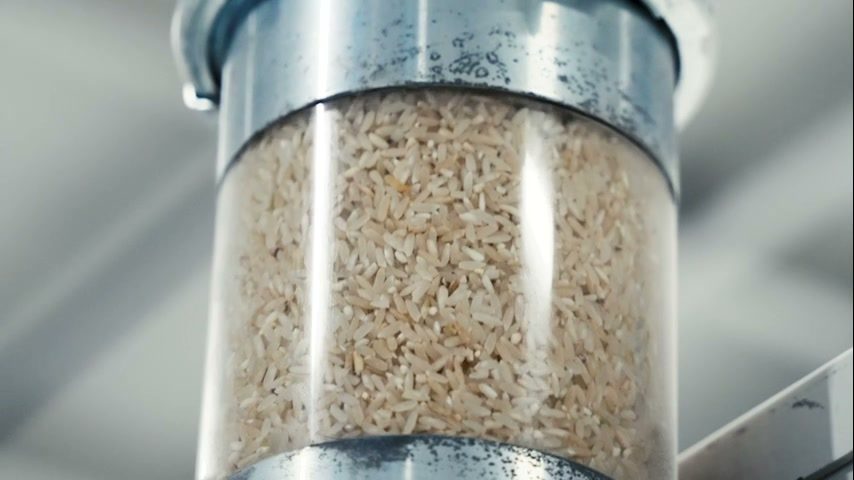 Rice filling the glass sight-glass section of a vertical milling column.
