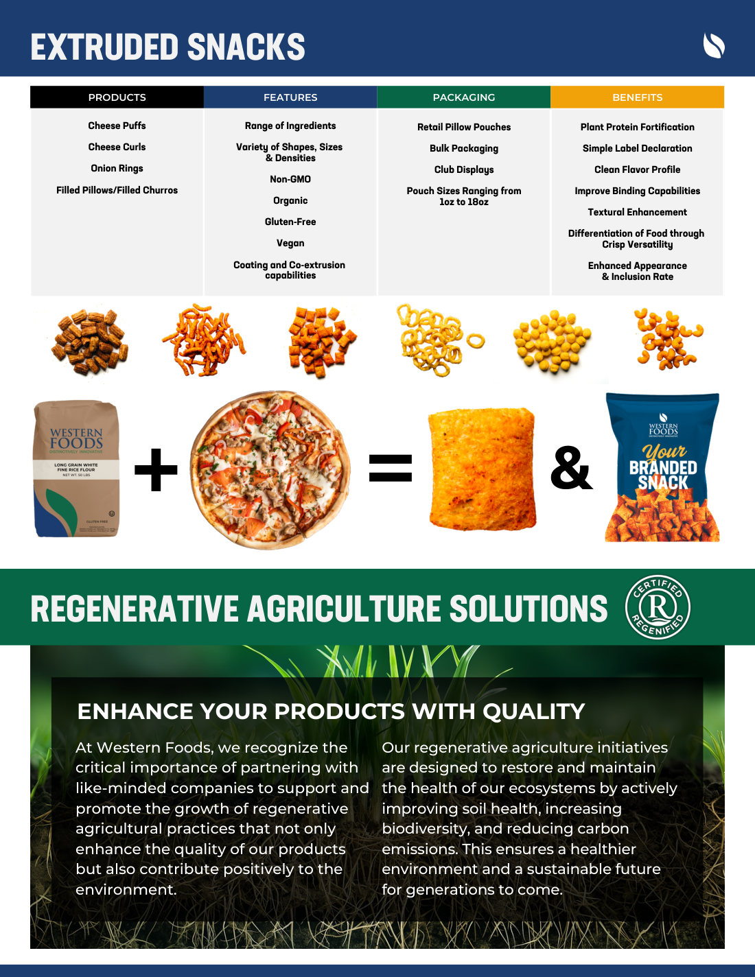 Brochure spread